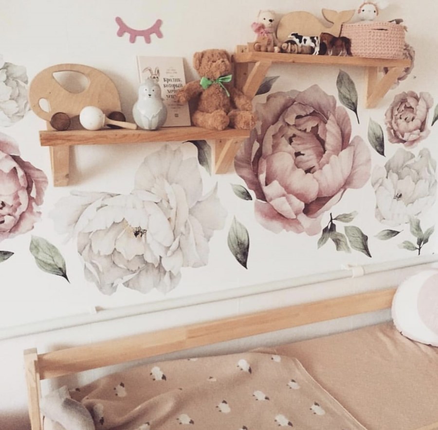 Пионы Прованс