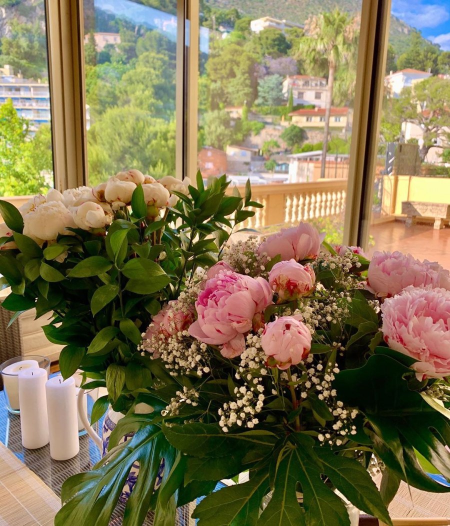 Пионы интерьерная картина