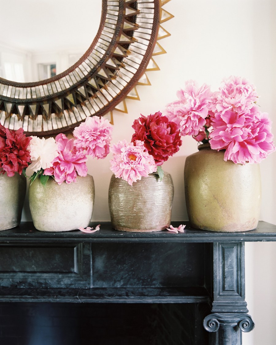 Пионы Фоторама