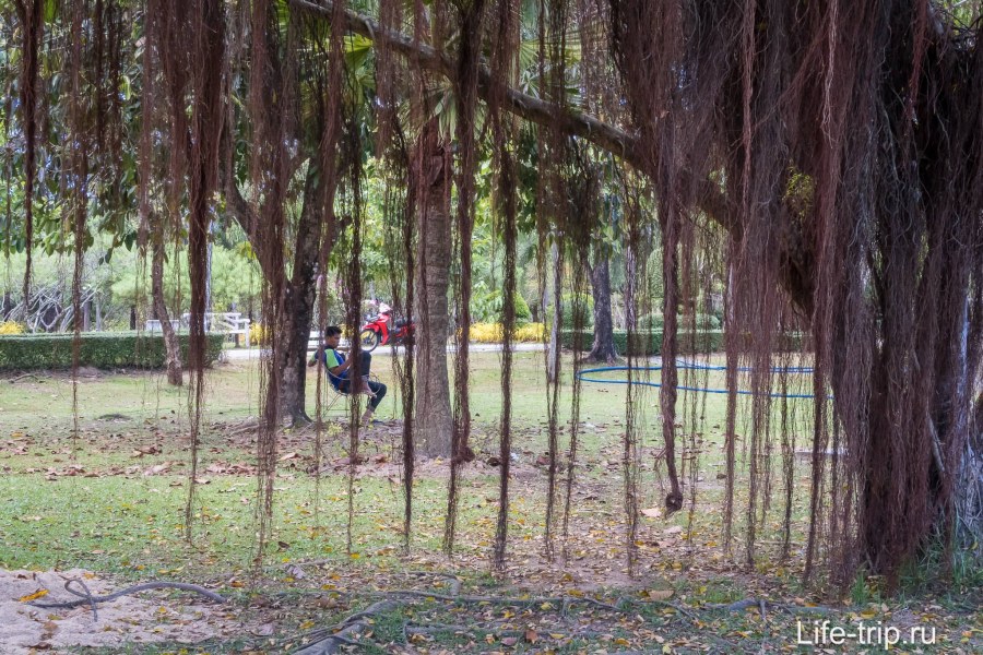 Королевский парк Тайланд