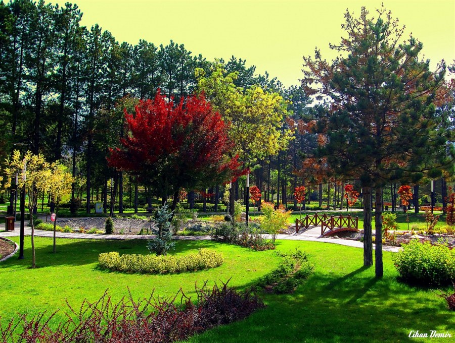 Goztepe Park