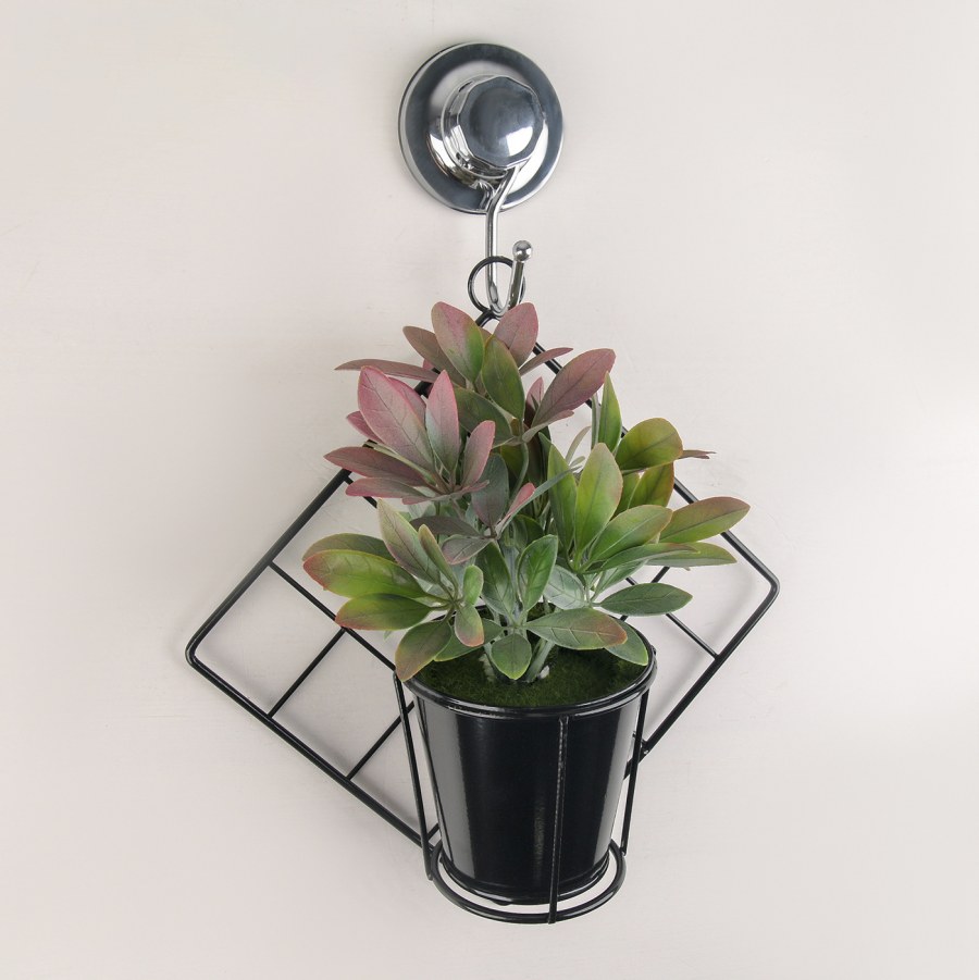 Настенные подставки для цветов