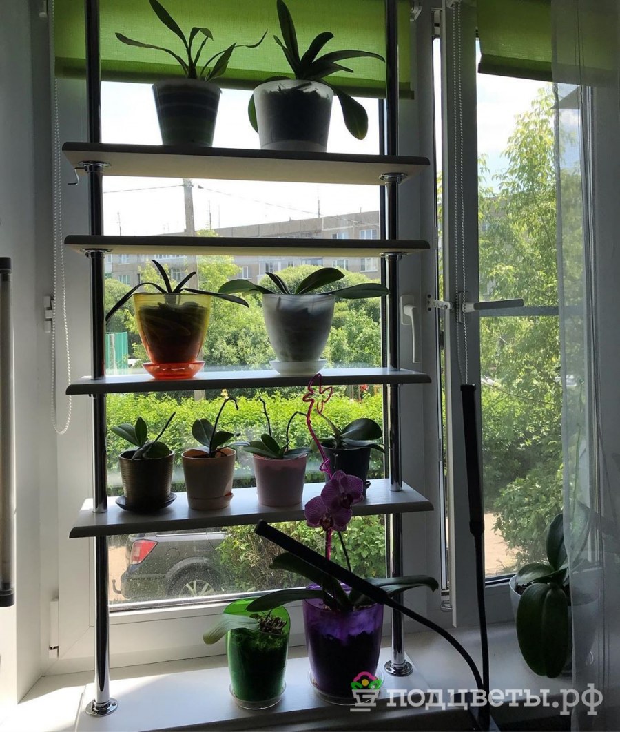 Полка для цветов Чако -4