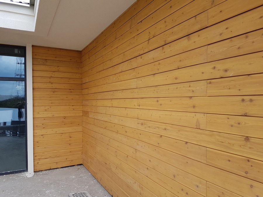 Белая лиственница в интерьере