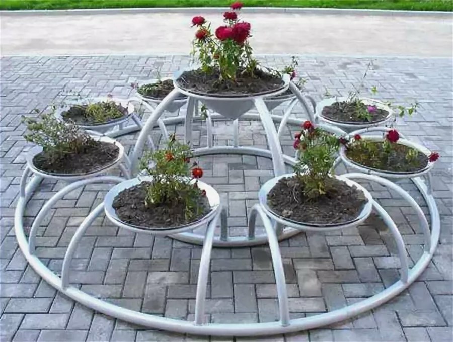 Цветочницы уличные