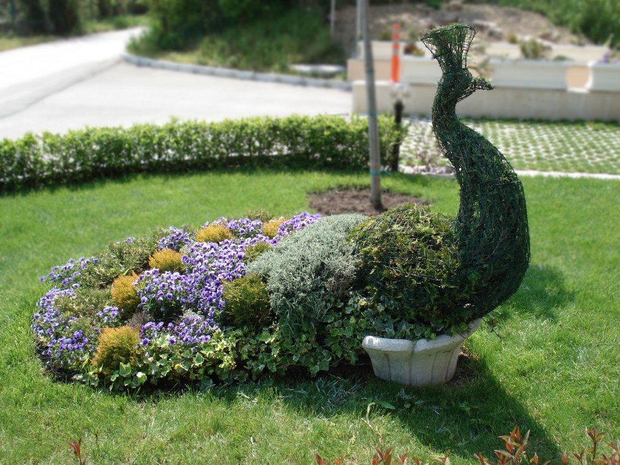 Топиарный Павлин