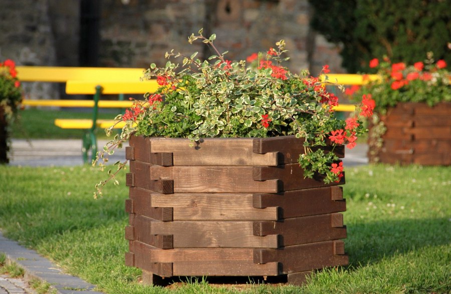 Цветник из тысячелетников