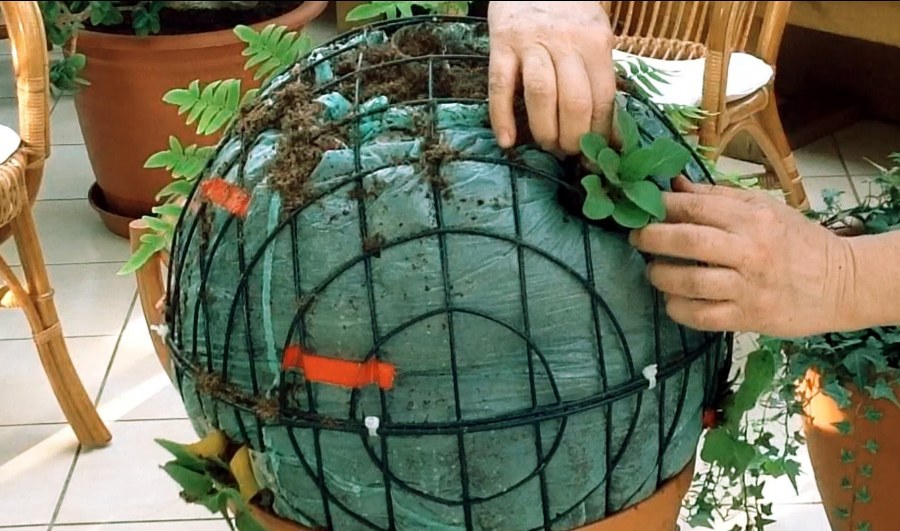 Каркас шар для растений