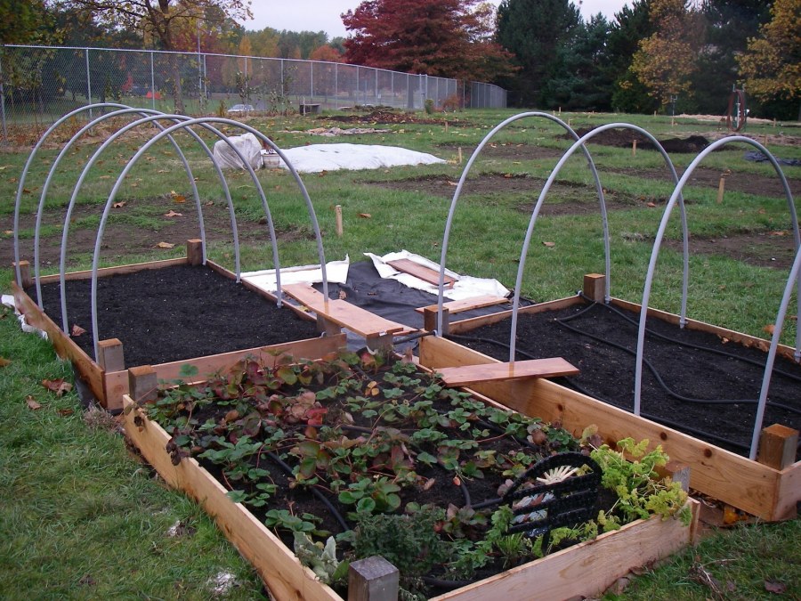 Деревянные ограждения для грядок