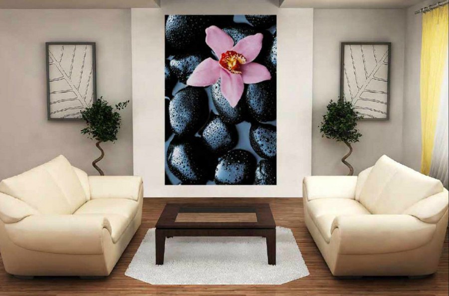 Lucia Tucci pene 146.5 Ivory