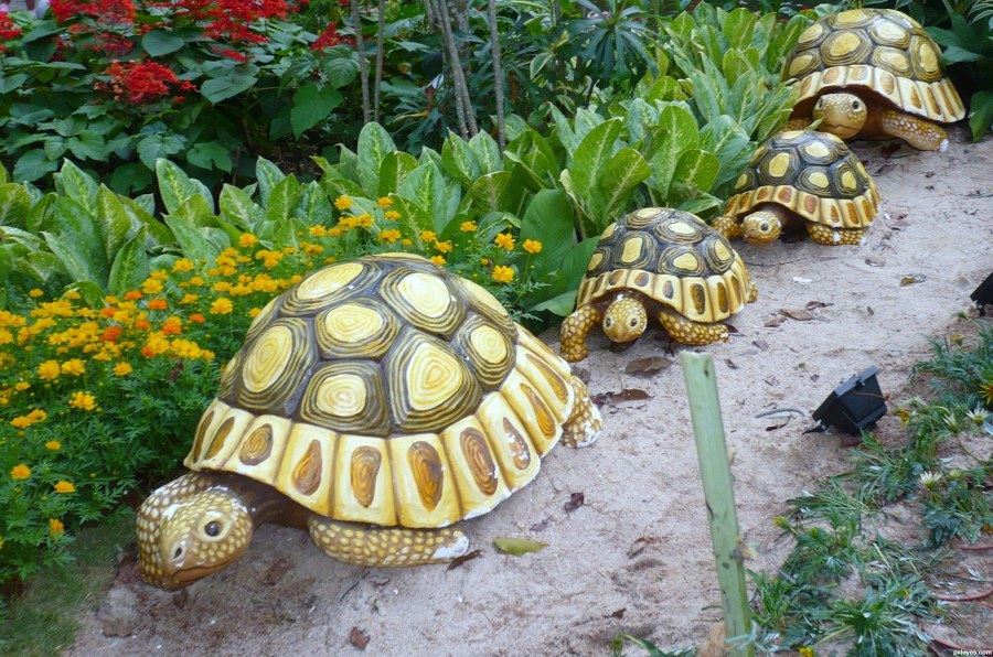 Черепаха из камней в саду