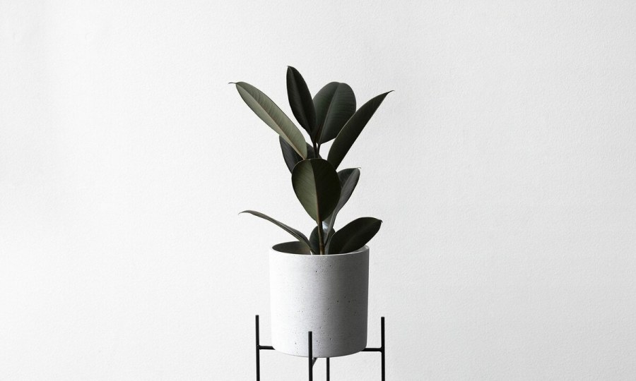 Минималистичный цветок