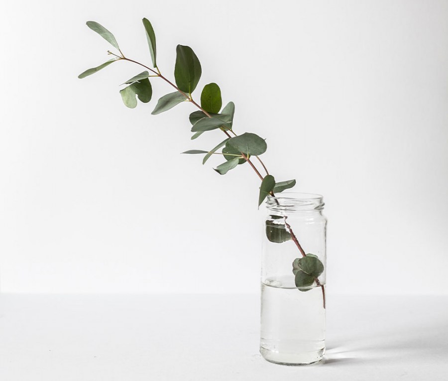 Зелень Минимализм