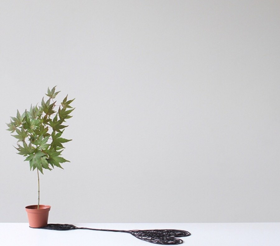 Листья пальмы Минимализм