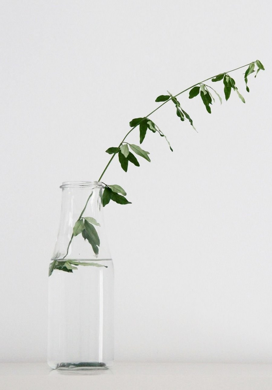 Цветочный Минимализм