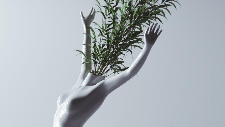 Цветочки Минимализм