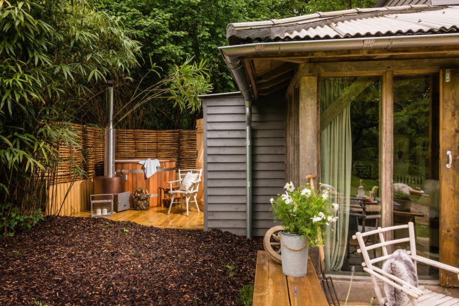 Задний двор лес