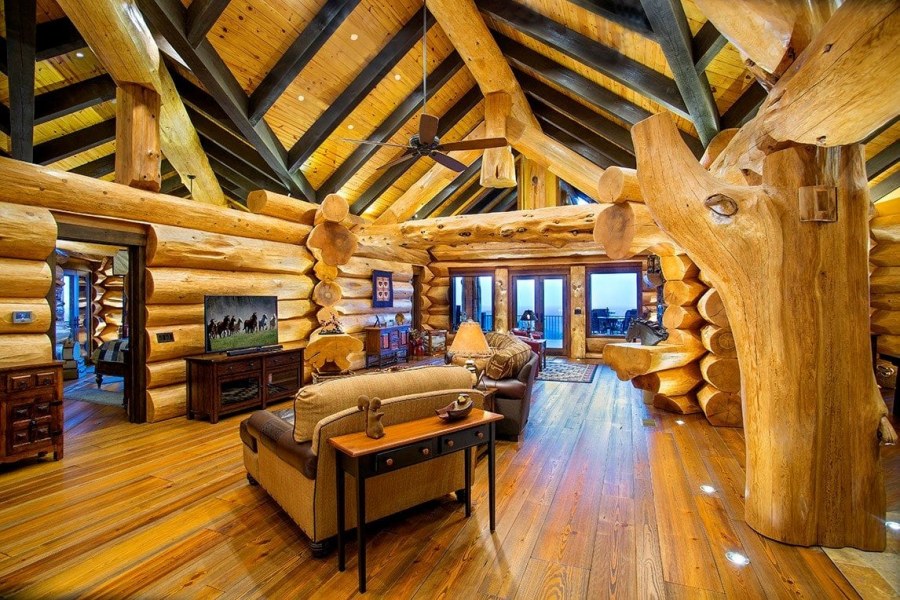 Пайонир Лог Холмс