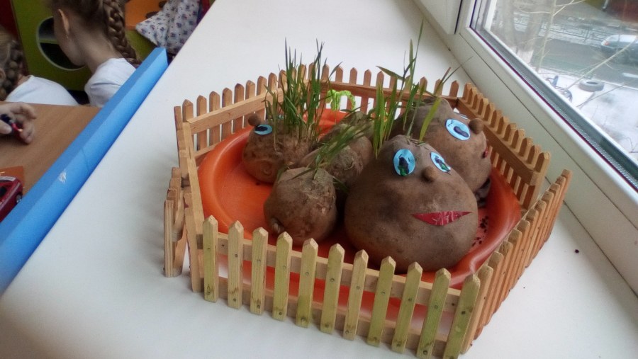 Выставка веселый огород