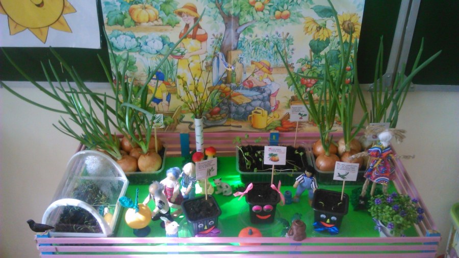 Огородик на окошке в детском саду