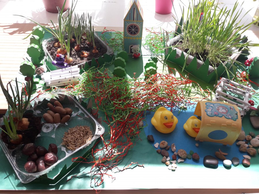 Конкурс весёлая грядка