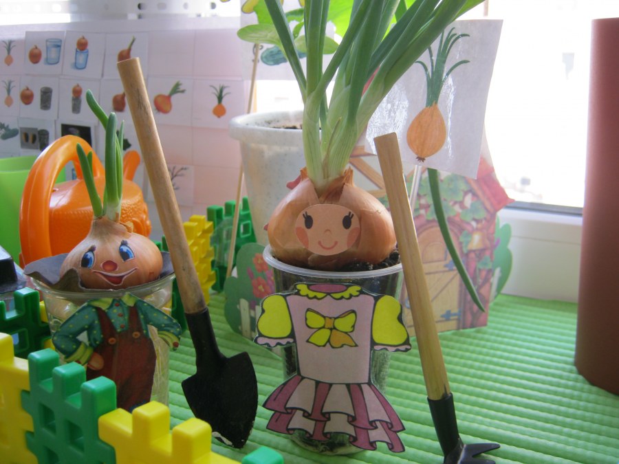 Огород на окошке в детском саду