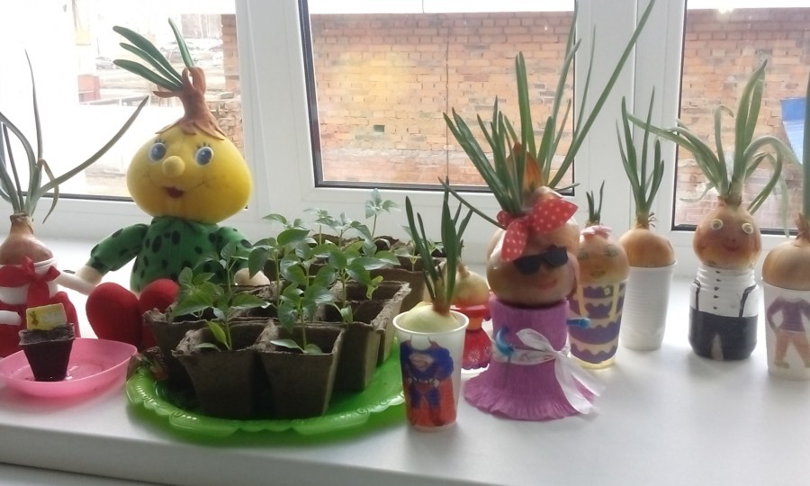 Весёлый огород на подоконнике
