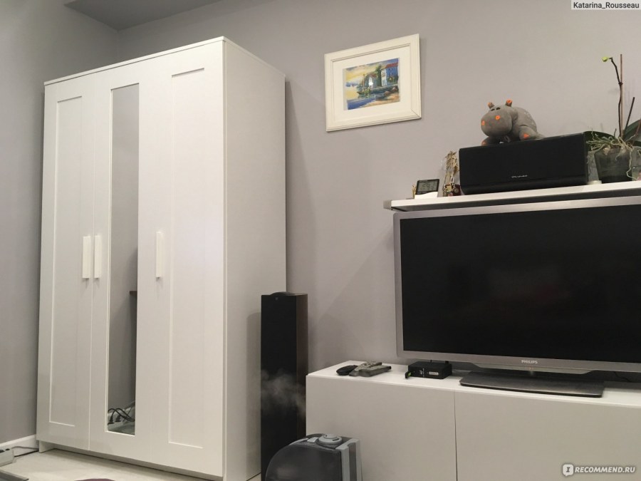 ОПХУС И БРИМНЭС