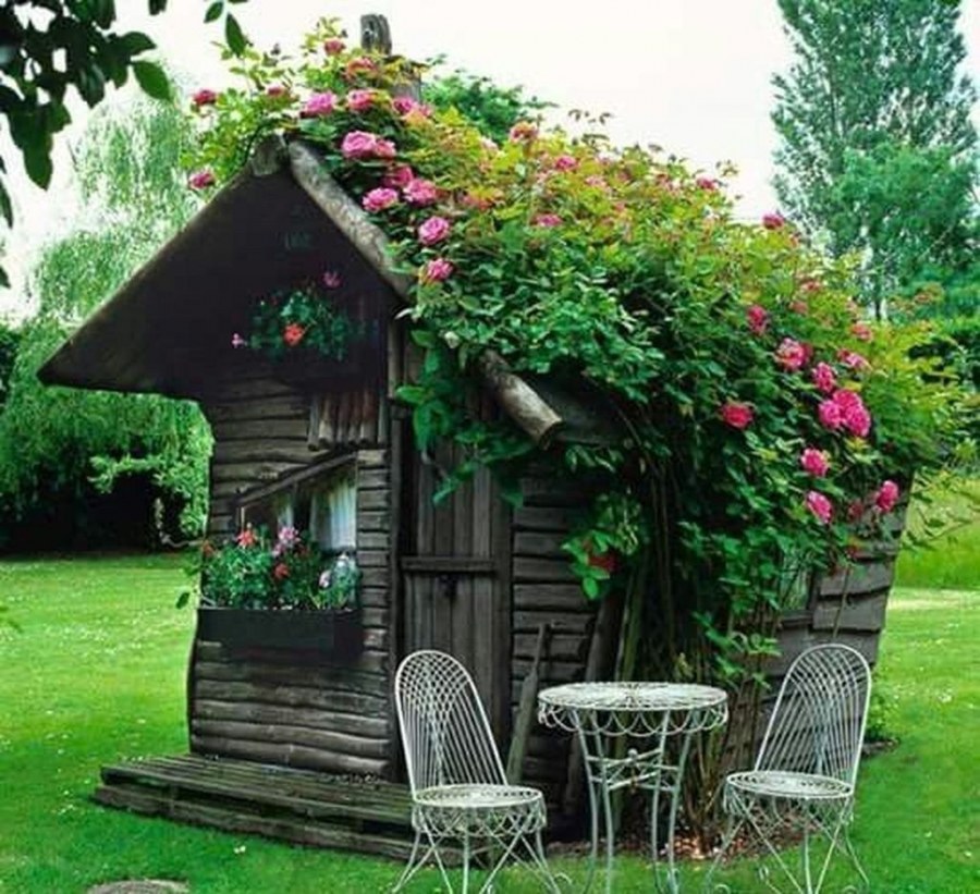 Домик с огородом