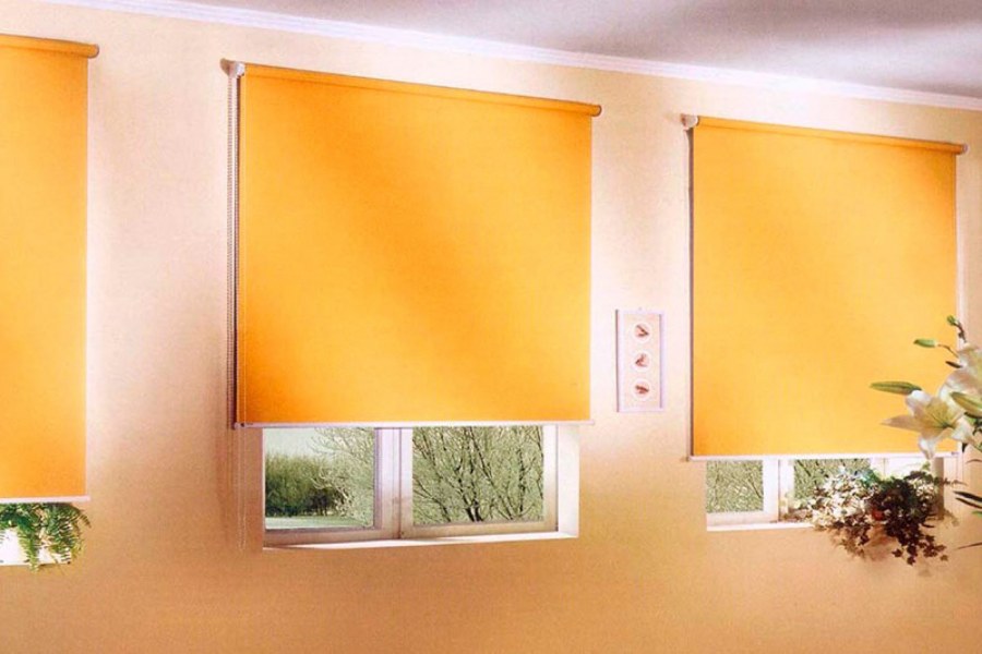 Рулонные шторы mg2