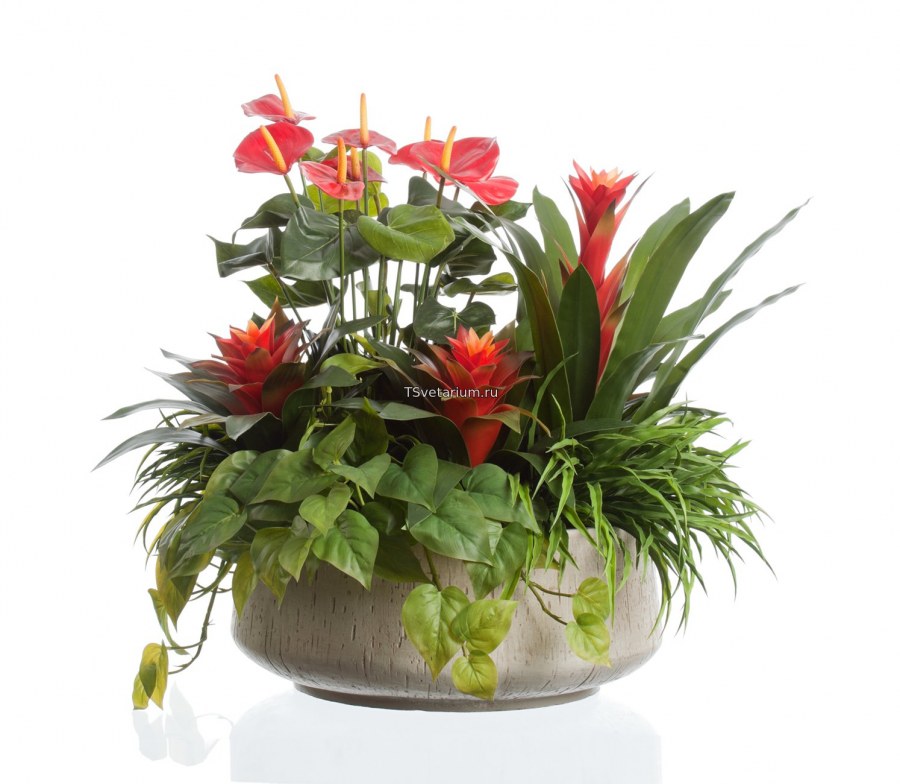 Пот-э-Флер Цветущий горшок