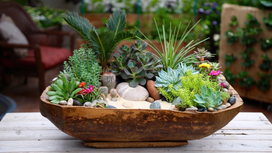 Кашпо для композиций из суккулентов