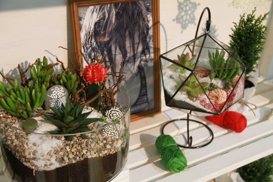 Композиции из комнатных цветов