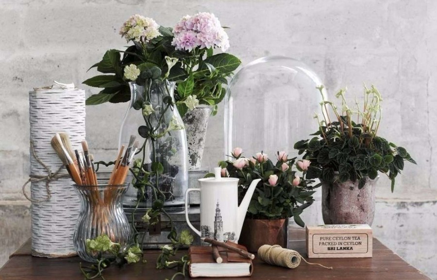 Цветы в интерьере