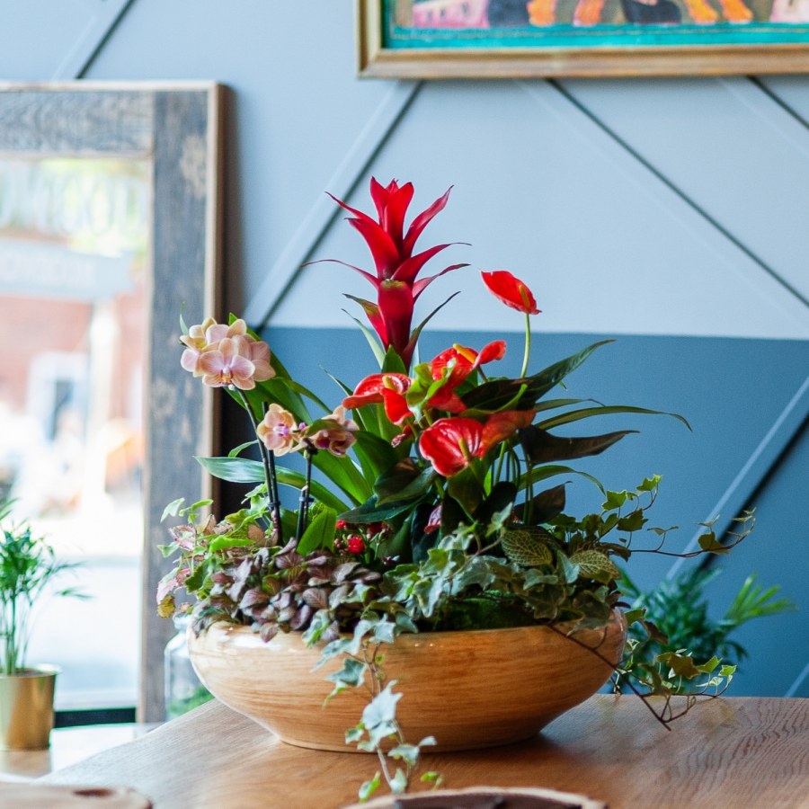 Композиция в кашпо