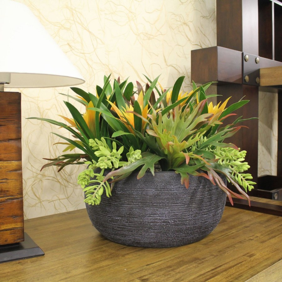 Композиции комнатных растений