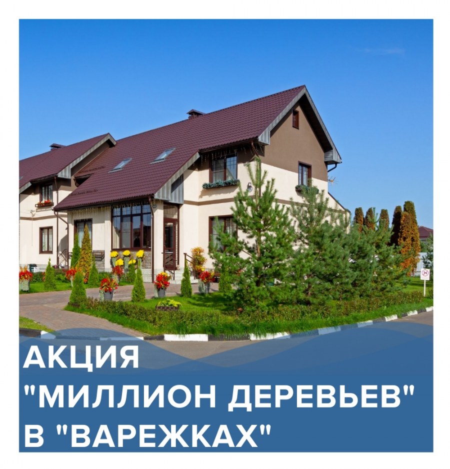 КП варежки 2