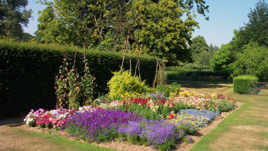 Смешанные бордюры(миксбордеры)