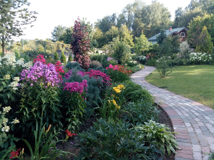 Луговой миксбордер