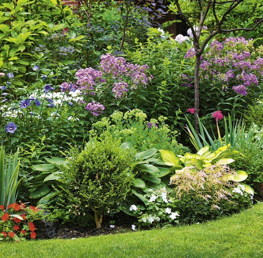 Миксбордер Кантри