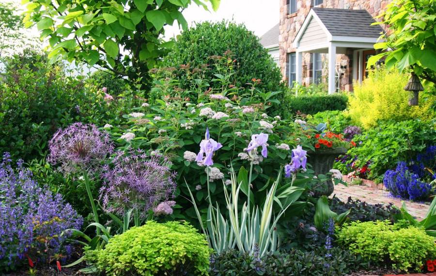 Миксбордер с сиренью