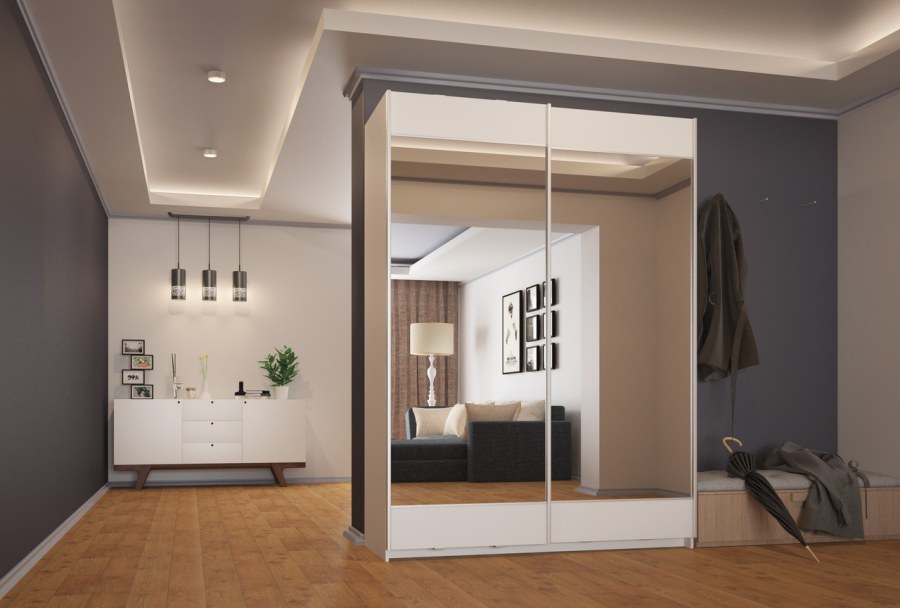 Шкаф-купе риал-3