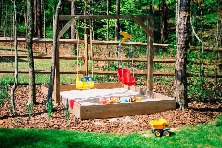 Джангл Джим