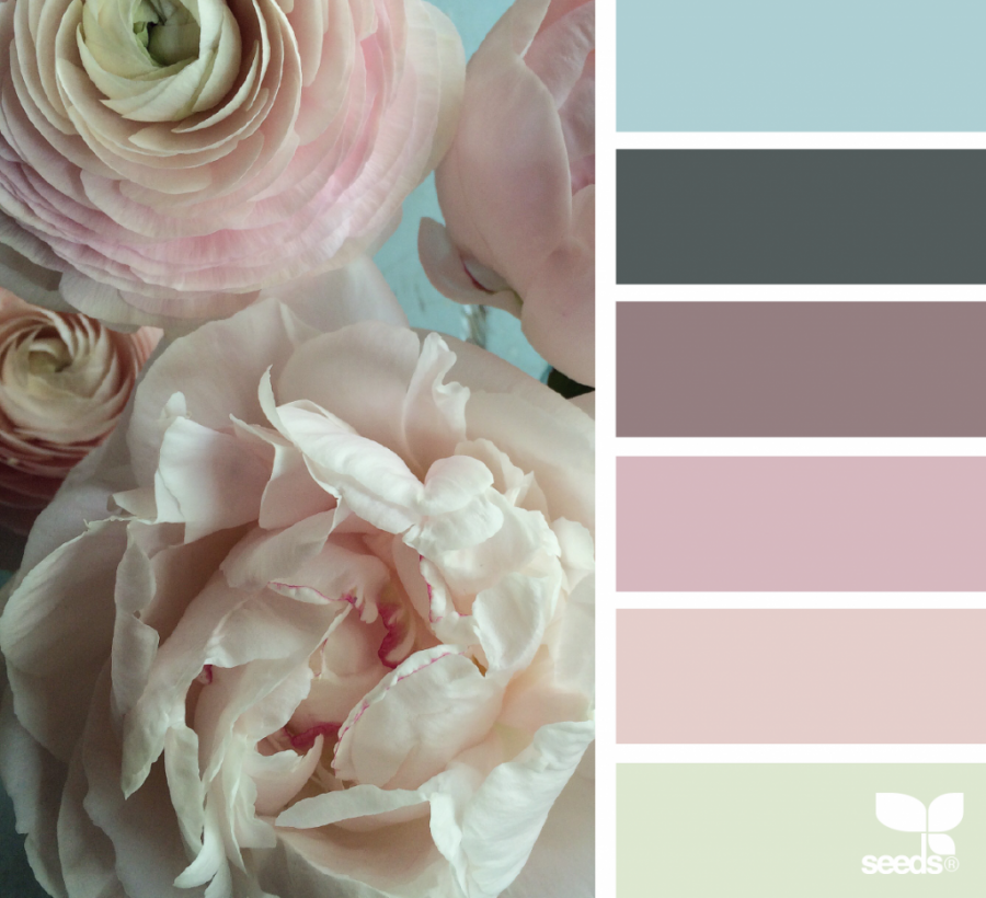 Пудровая палитра цветов