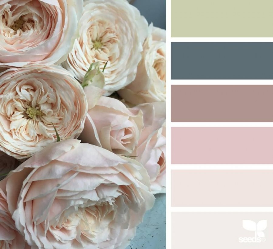 Пудровая палитра