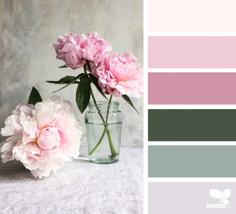 Колор баланс Палитры пудровый