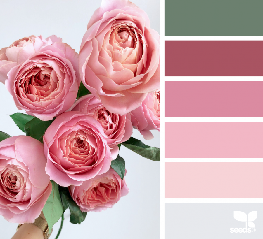Палитра сочетания цветов розовый