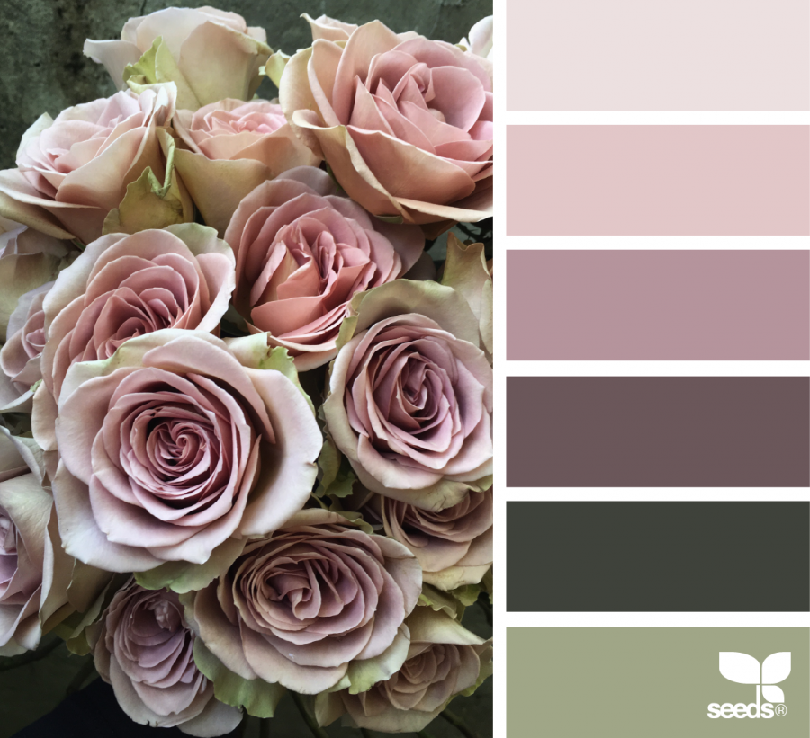 Оттенки пыльной розы в палитре