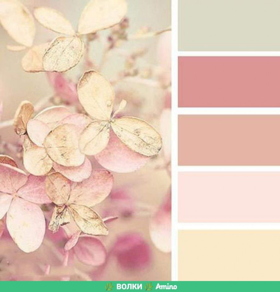 Пастэльные тона или пастельные