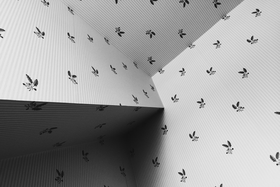 Фотообои серые листья с потолка